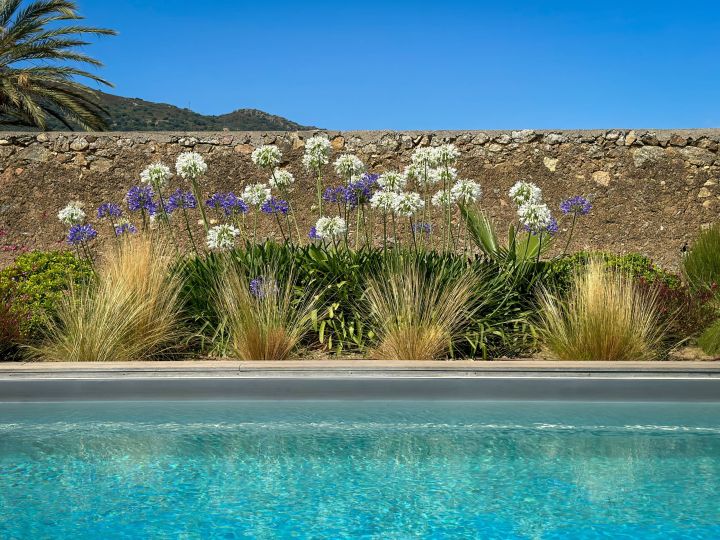 Villa Casa Vignola à louer en Corse