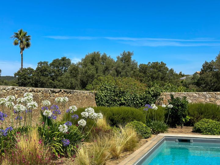 Villa Casa Vignola à louer en Corse