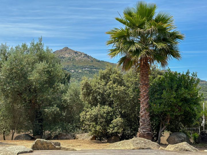 Villa Casa Verde à louer en Corse