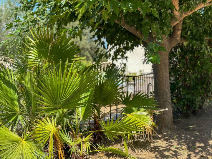 Villa Casa Natura à louer en Corse