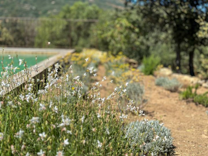 Villa Casa Murella à louer en Corse