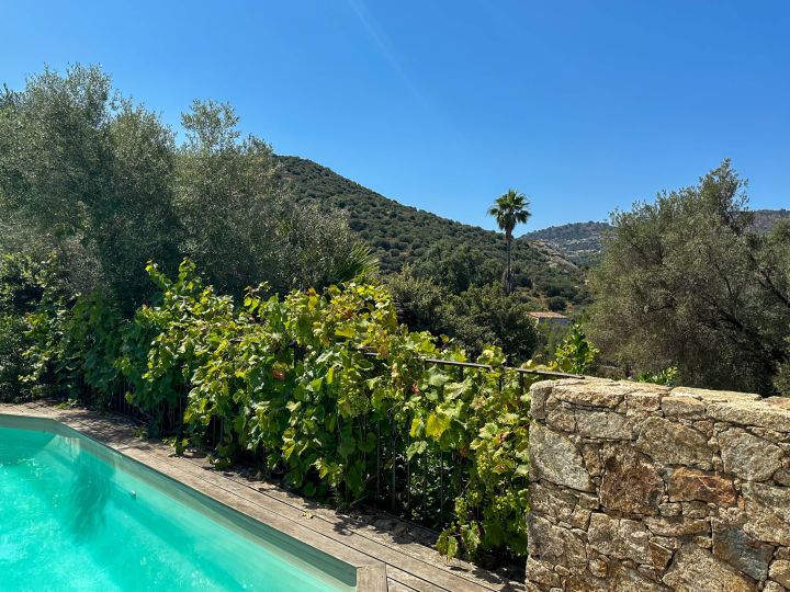 Villa Casa Natura à louer en Corse