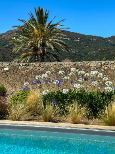 Villa Casa Vignola à louer en Corse