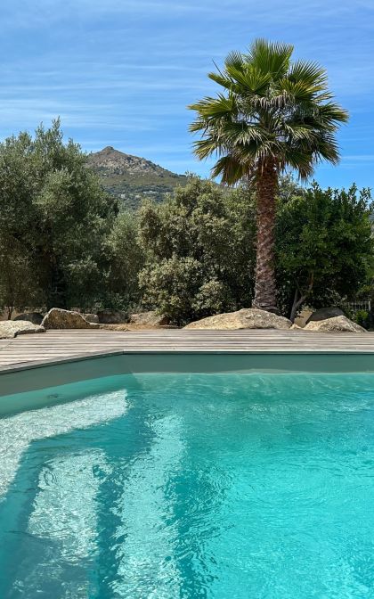 Renting the Casa Verde Villa - in Calvi