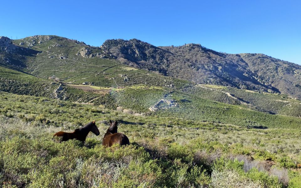 Location de la villa Casa di l'Ortu -  pour  à Calvi