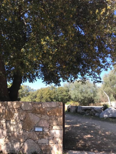 Villa Casa Verde à louer en Corse